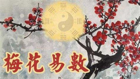 梅花八字|梅花易数（中国古代占卜法）